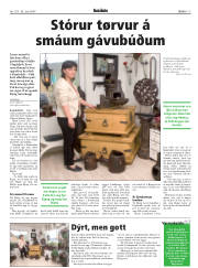 Síða 17