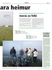 Síða 19