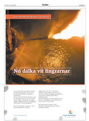 Síða 3