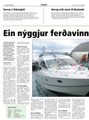 Síða 22