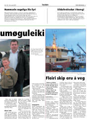 Síða 23