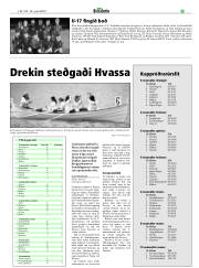 Síða 29