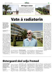 Síða 19