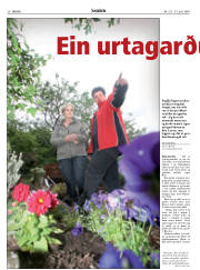 Síða 20