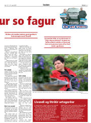 Síða 21