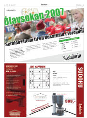 Síða 29