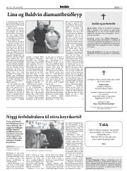 Síða 17