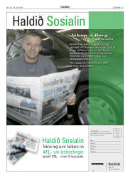 Síða 33