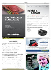 Síða 44