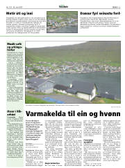 Síða 23