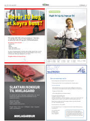 Síða 25