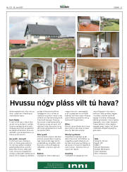 Síða 31