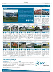 Síða 32