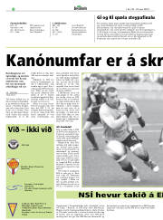 Síða 34