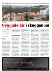 Síða 4