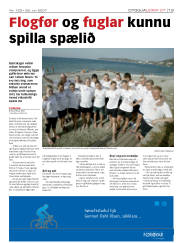 Síða 13