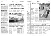 Síða 6