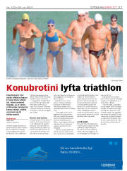 Síða 11