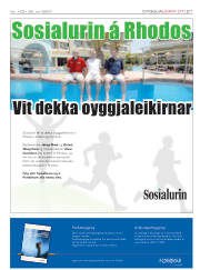Síða 21