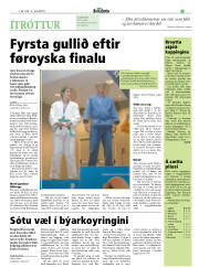 Síða 17