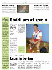 Síða 20