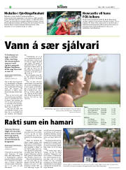 Síða 22