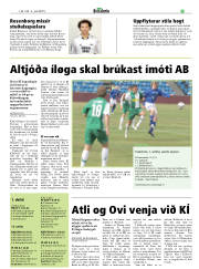 Síða 29