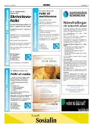 Síða 17