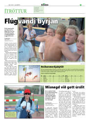 Síða 19