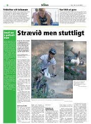 Síða 22