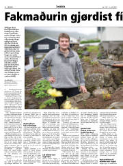 Síða 36