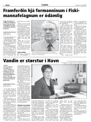 Síða 8