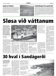 Síða 9