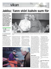 Síða 15