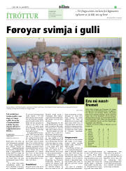 Síða 17