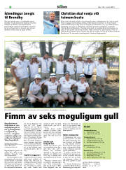 Síða 20