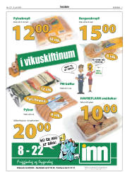 Síða 3