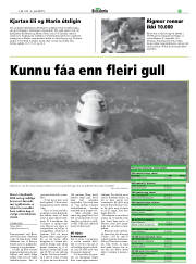 Síða 29