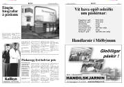Síða 8