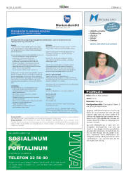 Síða 25