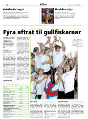 Síða 32