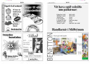 Síða 12