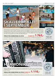Síða 3