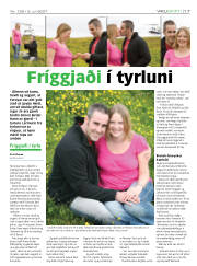Síða 17