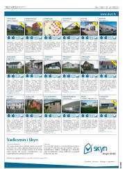 Síða 18