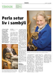 Síða 2