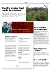 Síða 18