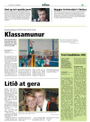Síða 21