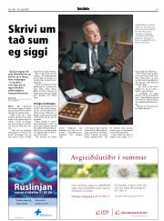 Síða 17