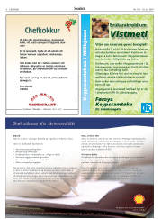 Síða 6
